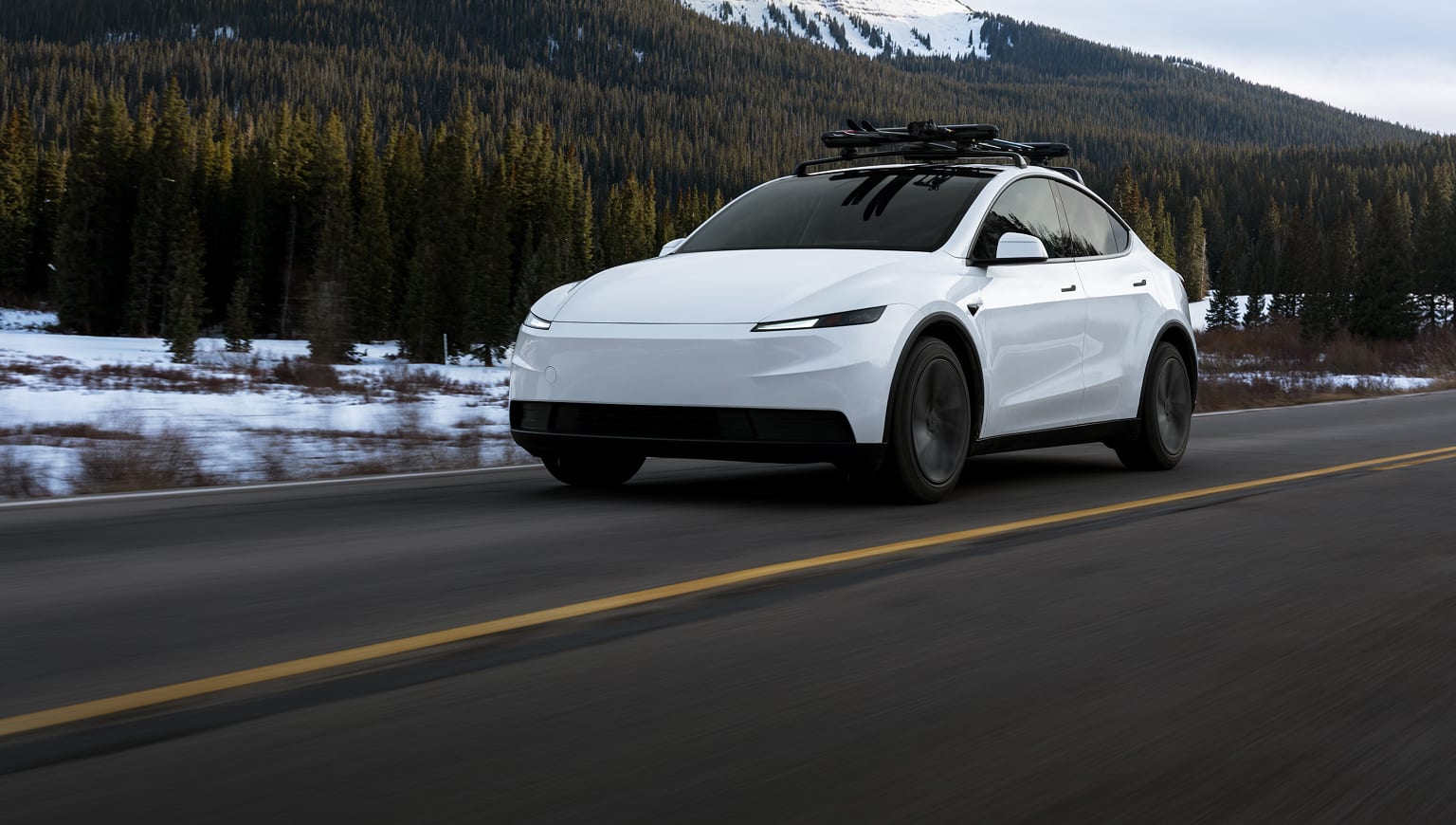Model Y AWD